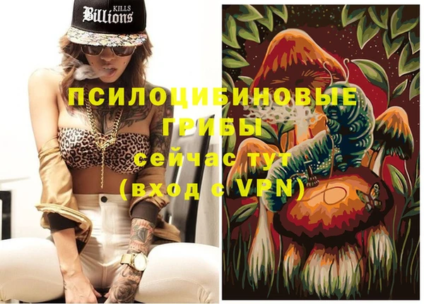 кокс Алексеевка