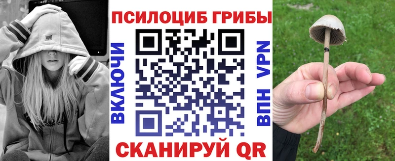 Галлюциногенные грибы ЛСД  магазин продажи   omg рабочий сайт  Адыгейск 